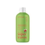 ATTITUDE Super Leaves Kids 2-in-1 Shampoo Body Wash Watermelon Coco 16oz bottle